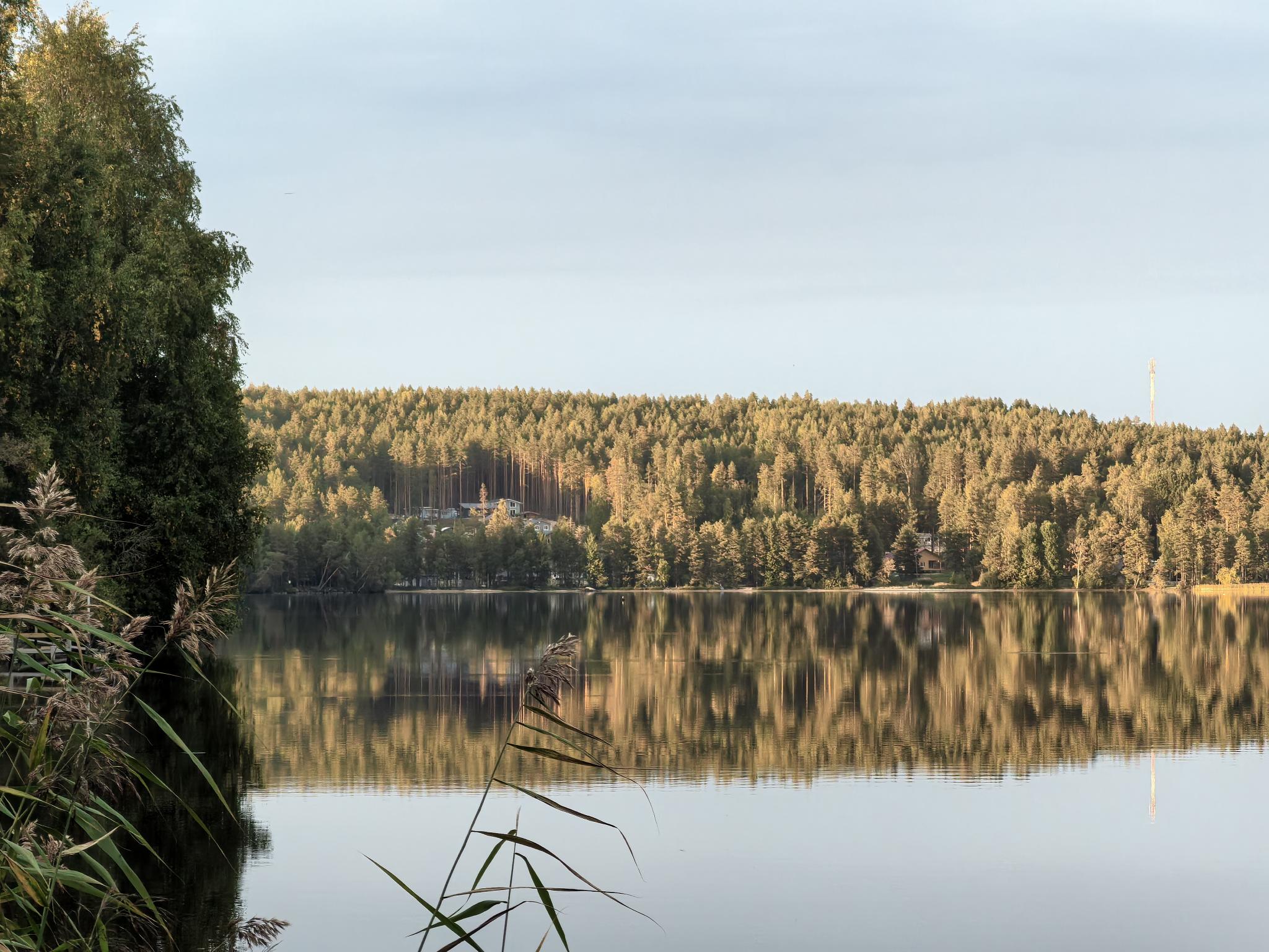 Фото Вегвизир