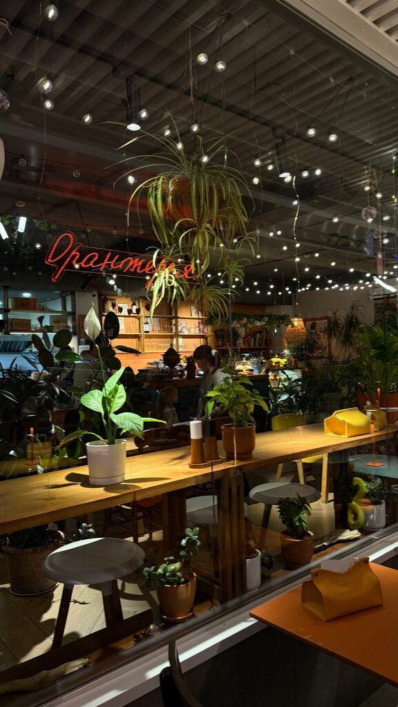 Кафе Оранжерея, Краснодарский край, фото