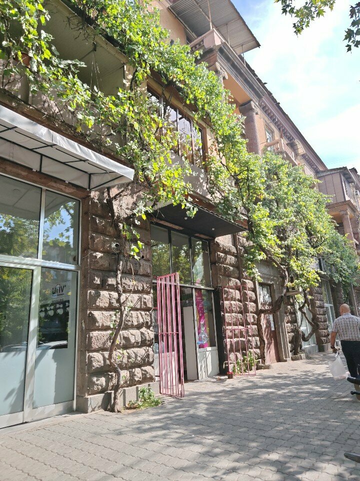 Security company General Security Systems, Yerevan, photo