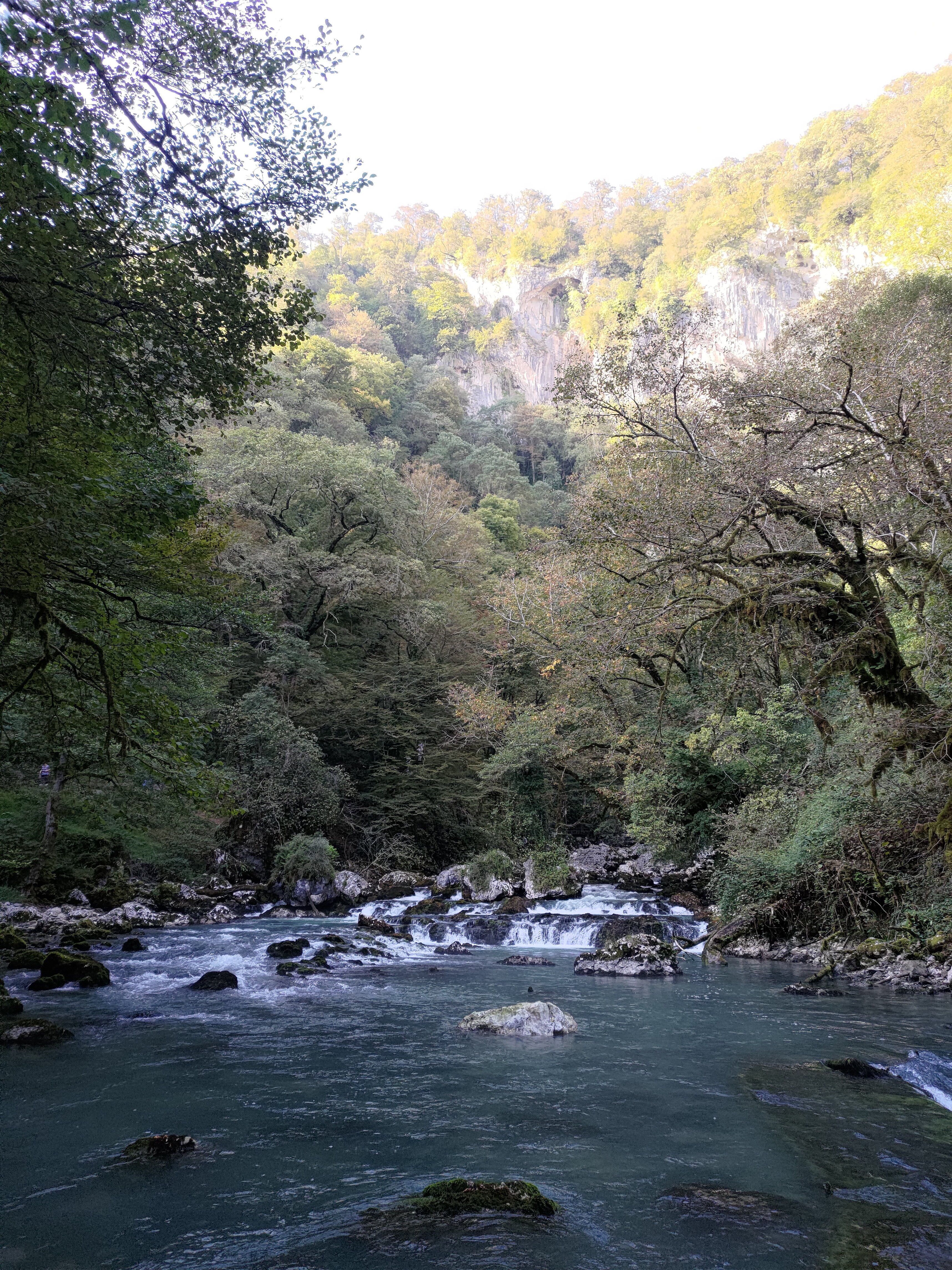 Фото Пансионат Мюссера им. Н. Лакоба
