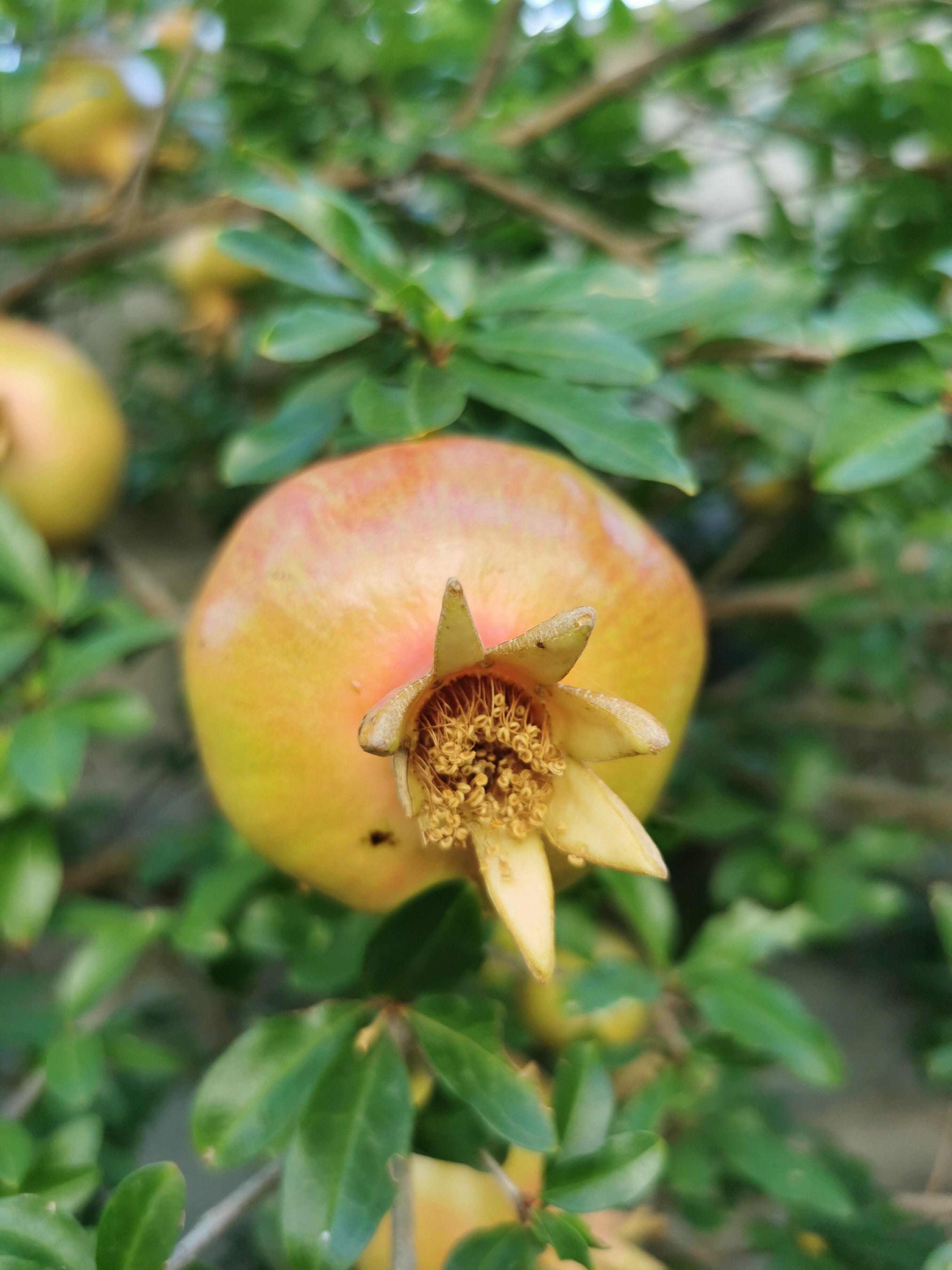 Фото Комфорт