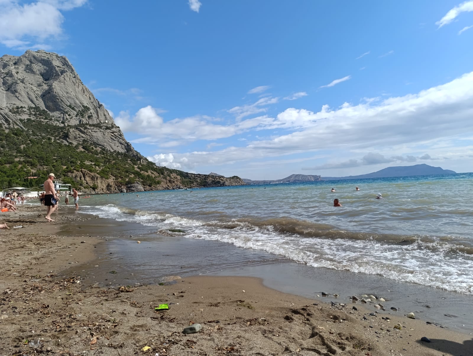 Фото Кипарис