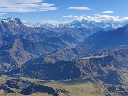 Қара адам бір литр шәует жинайды