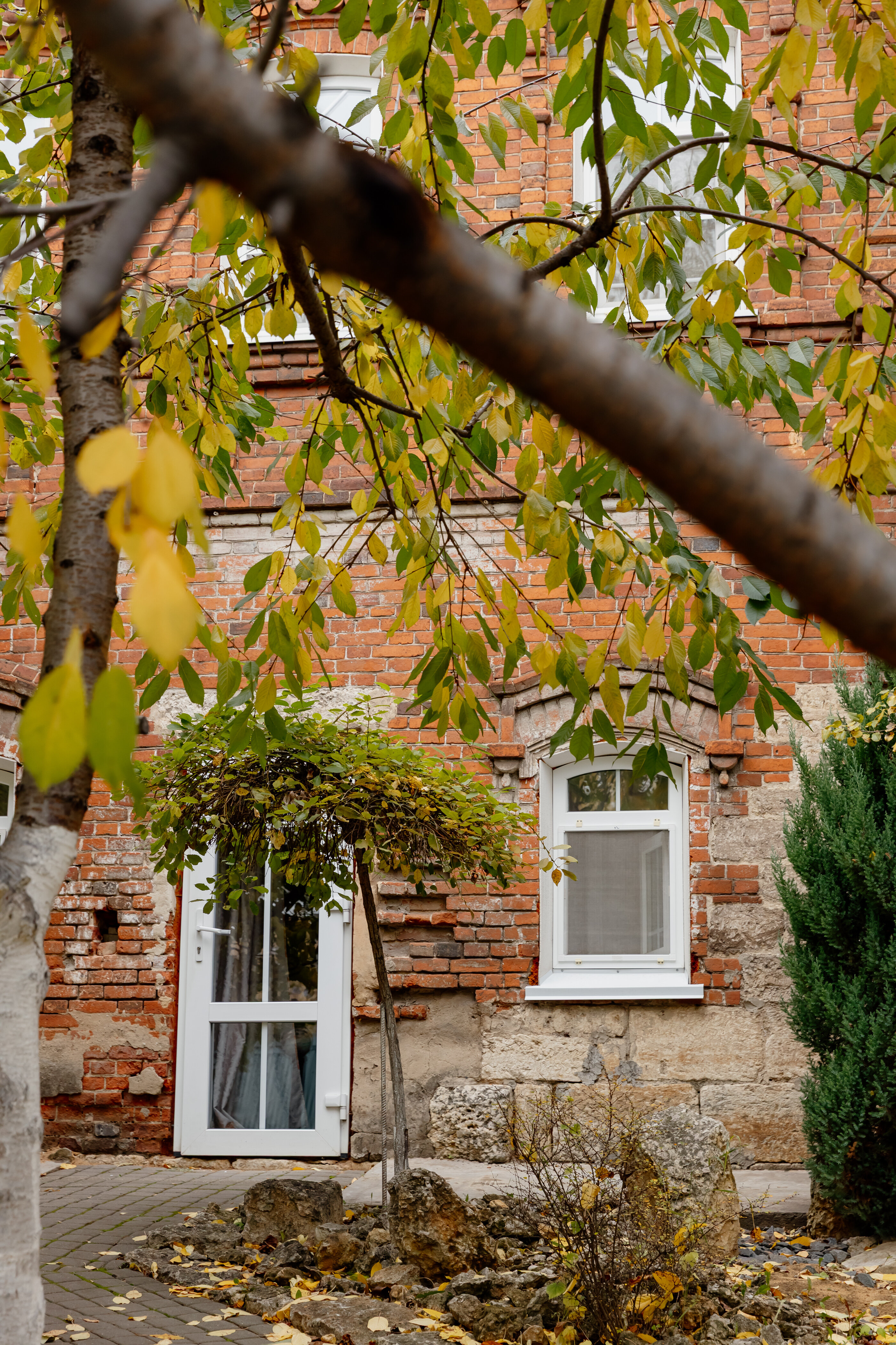 Фото Липовская