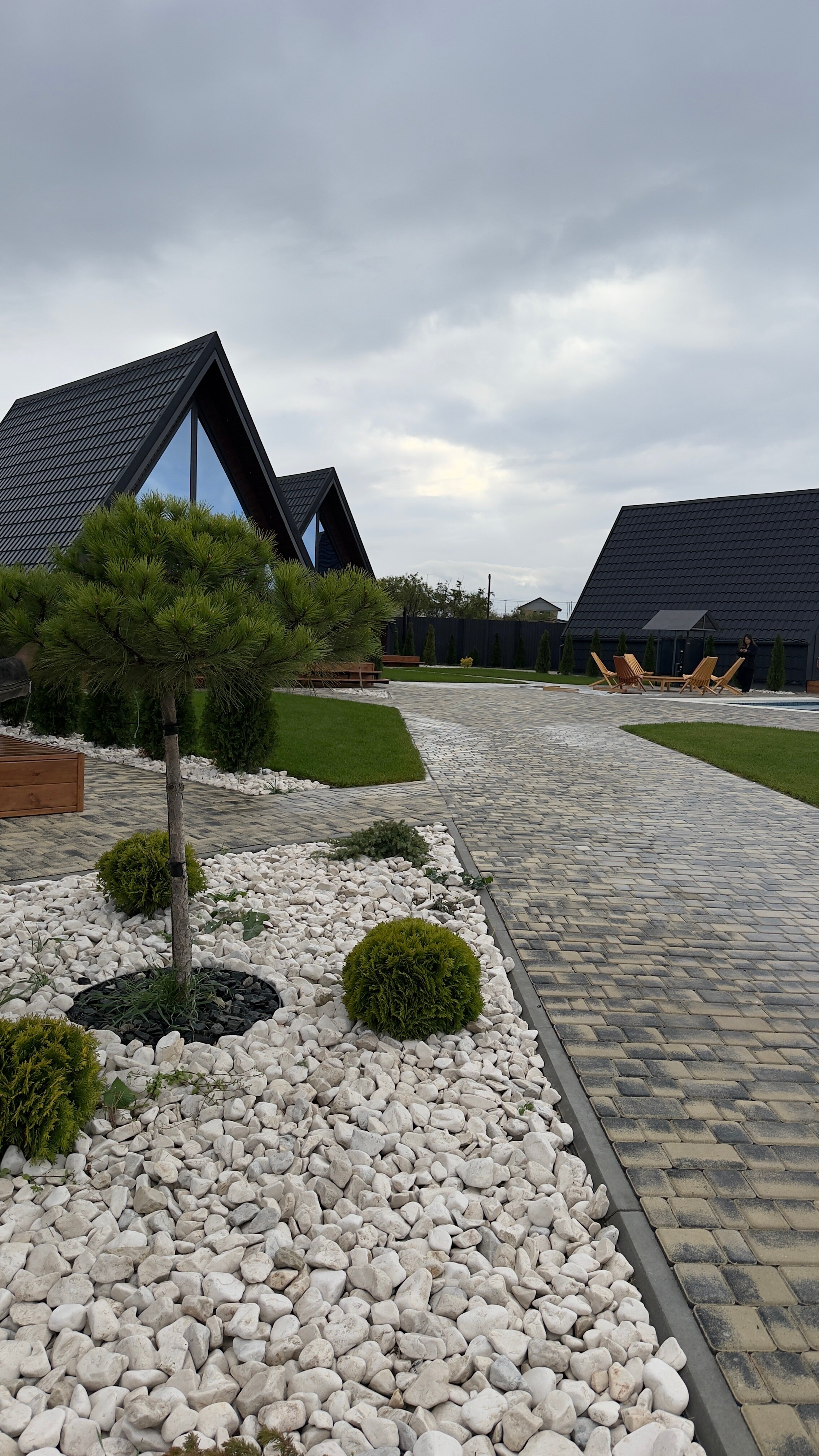 Фото Шелест