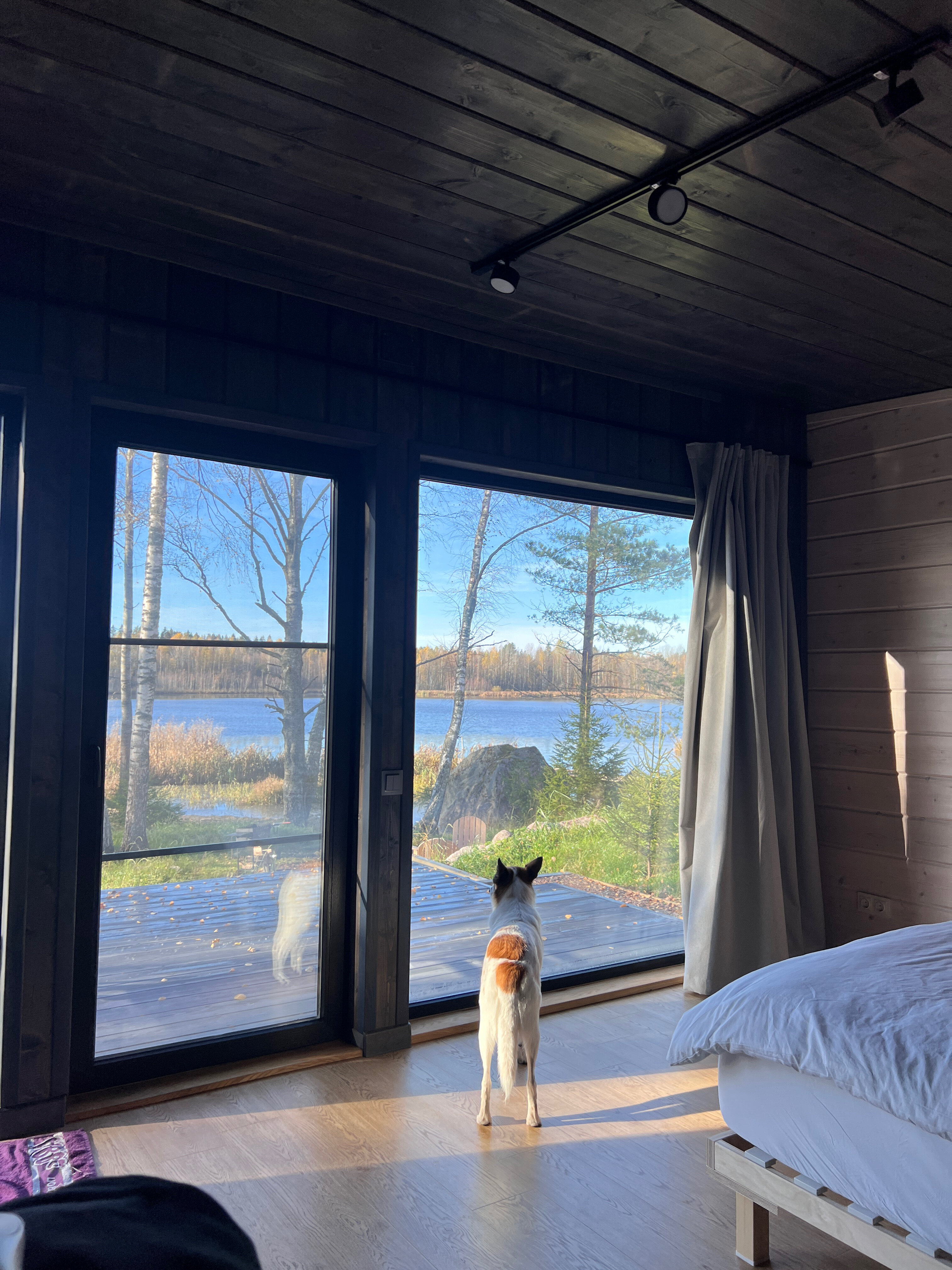 Фото Здесь живут камни