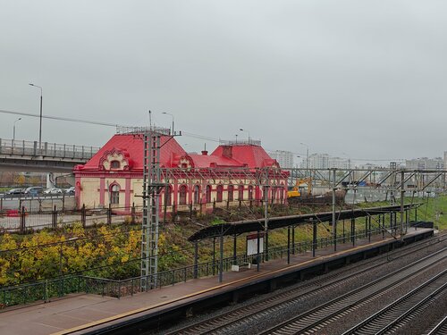 Бала жыныстық қатынасқа дайын