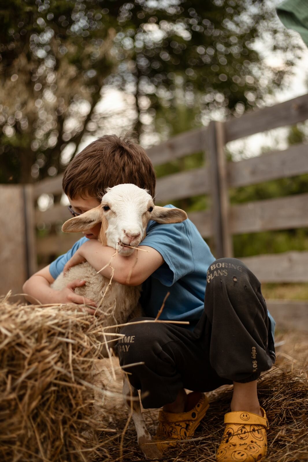 Фото Арт Хаус