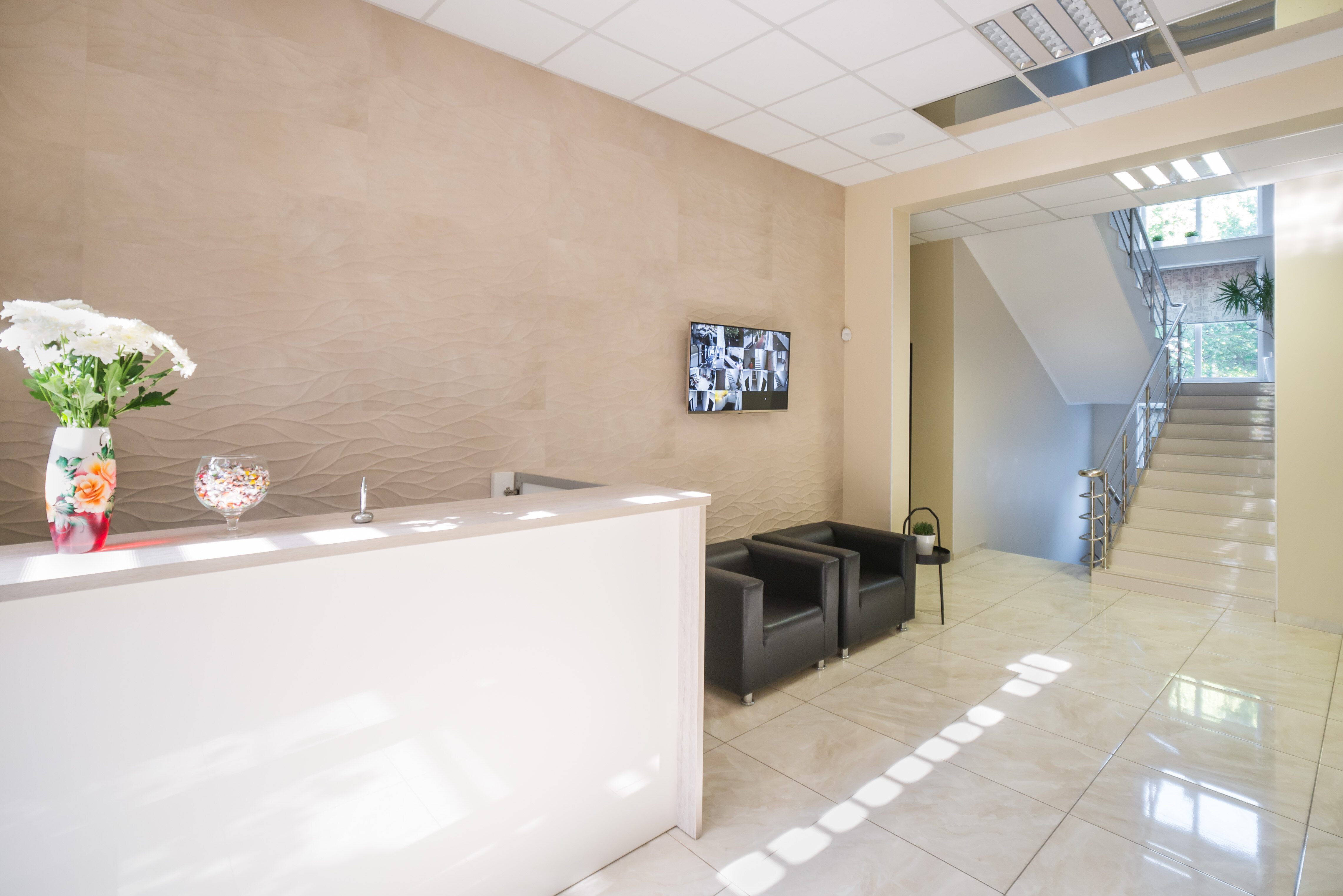 Фото Абрикос Плюс