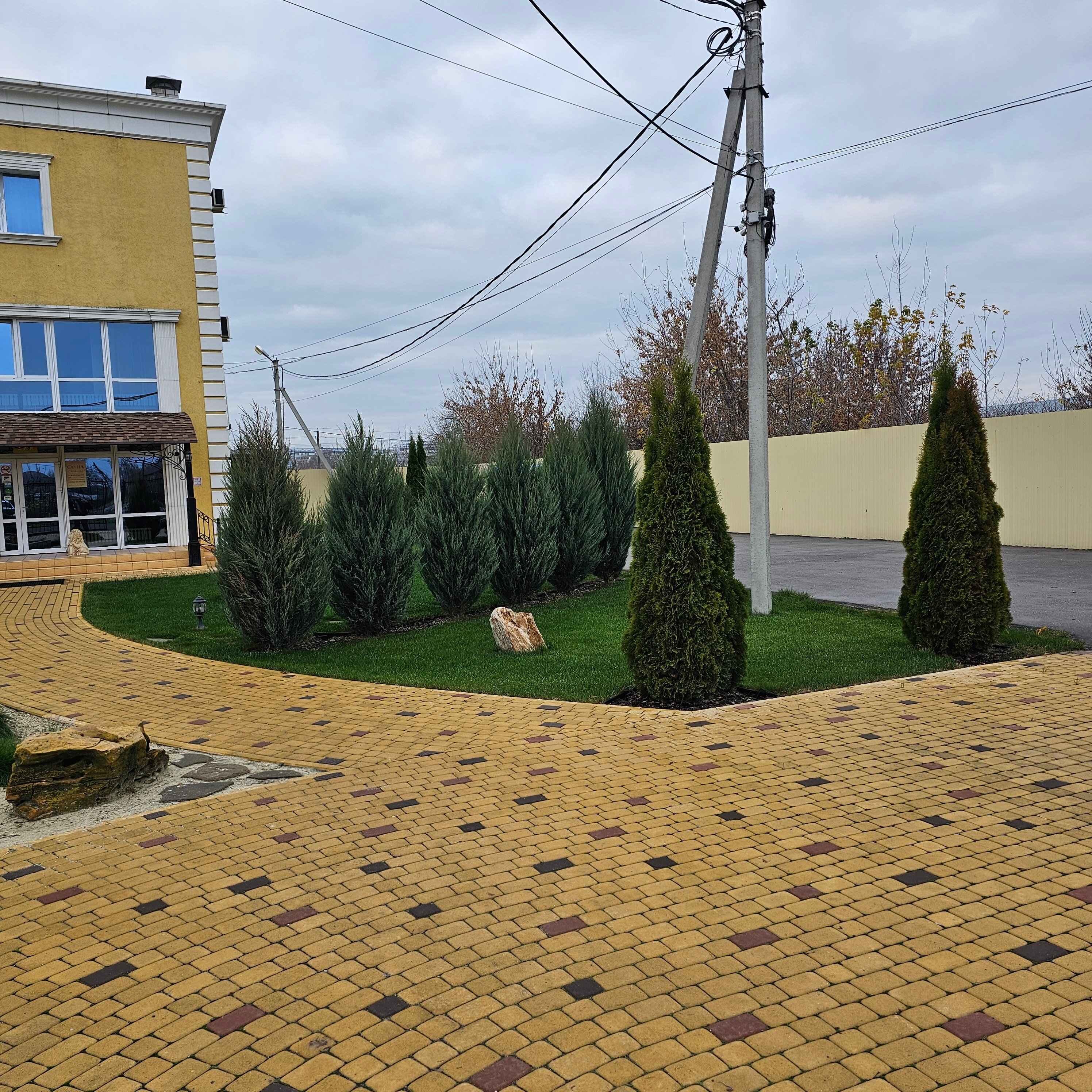 Фото Саванна