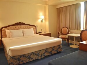 Manila Prince Hotel (Manila, 1000 San Marcelino St.), hotel