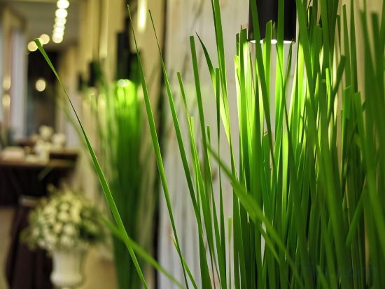 Фото Ariana Hotel