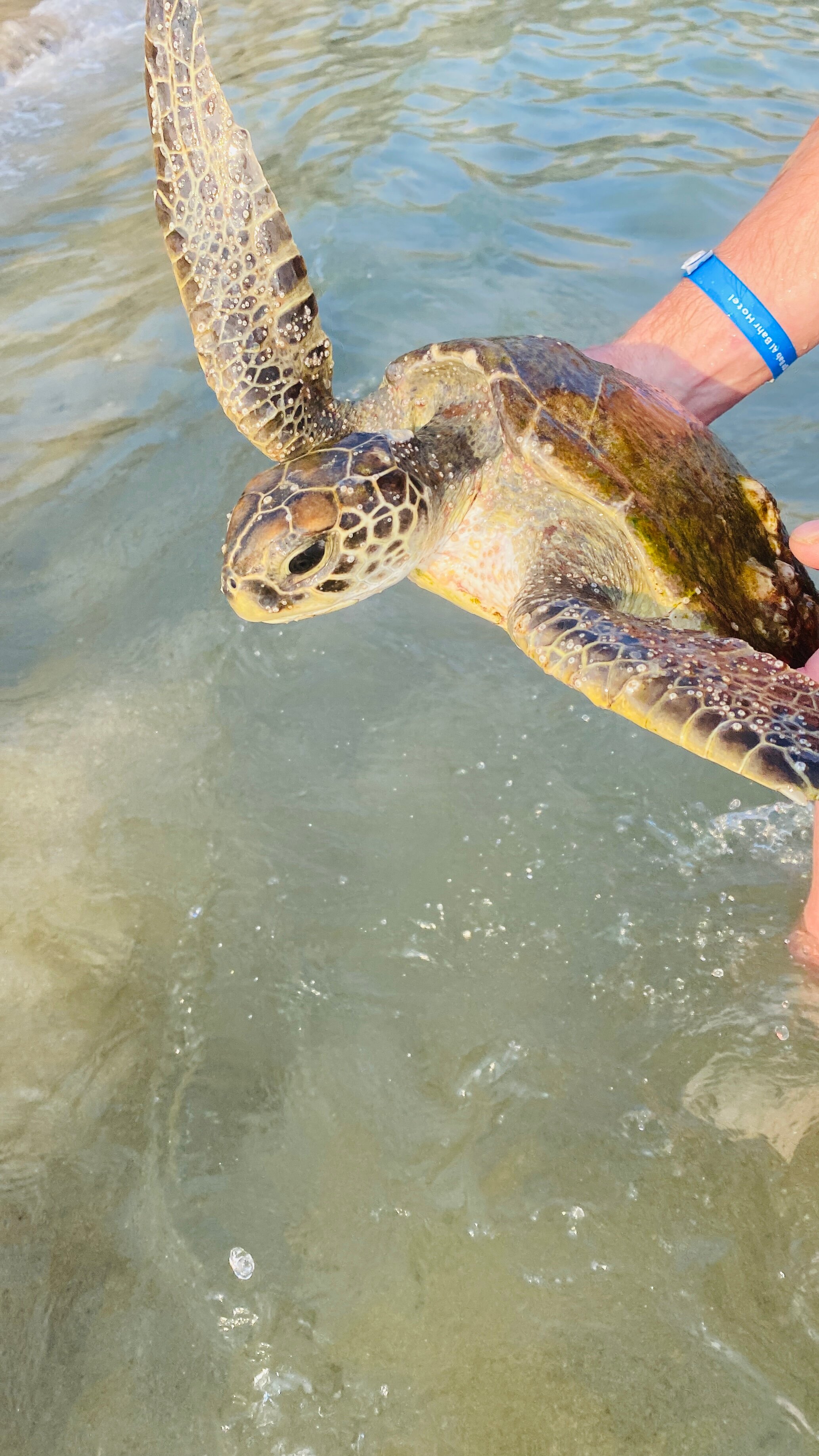 Фото Mirage Bab Al Bahar Hotel