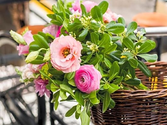 Фото CasaSur Bellini