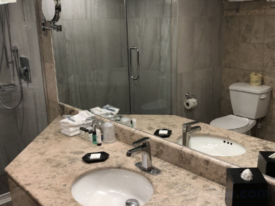 Фото Sheraton Laval Hotel