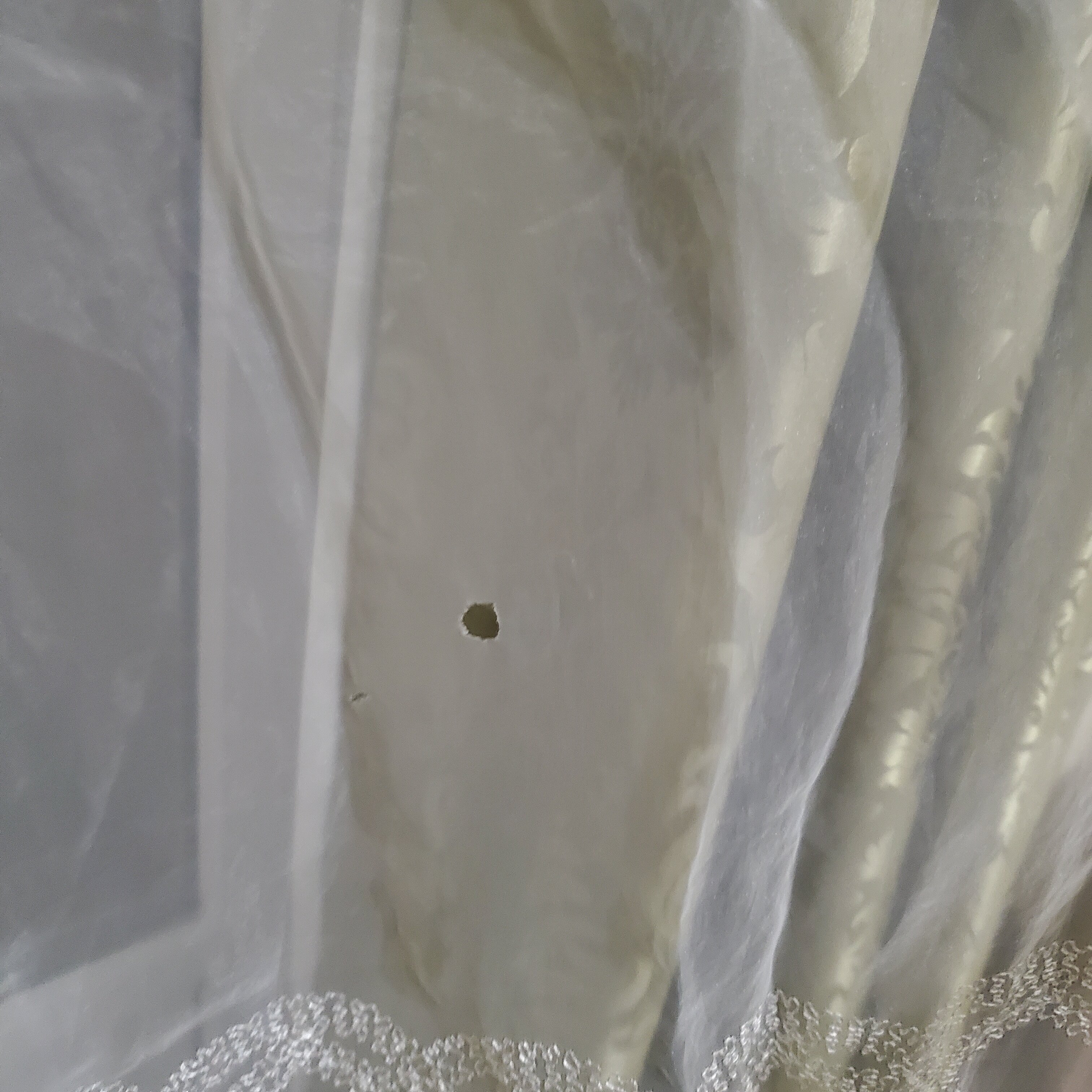 Фото Лагуна