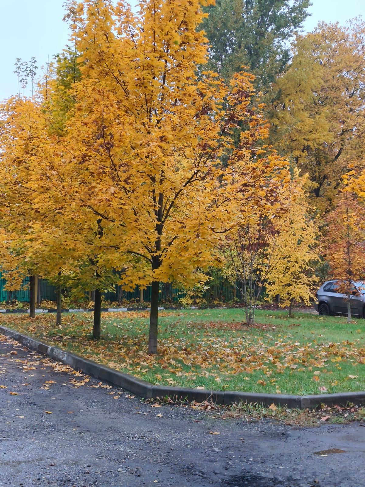 Фото Ботаник Life