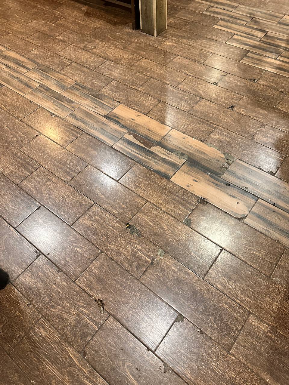 Фото Пальмы