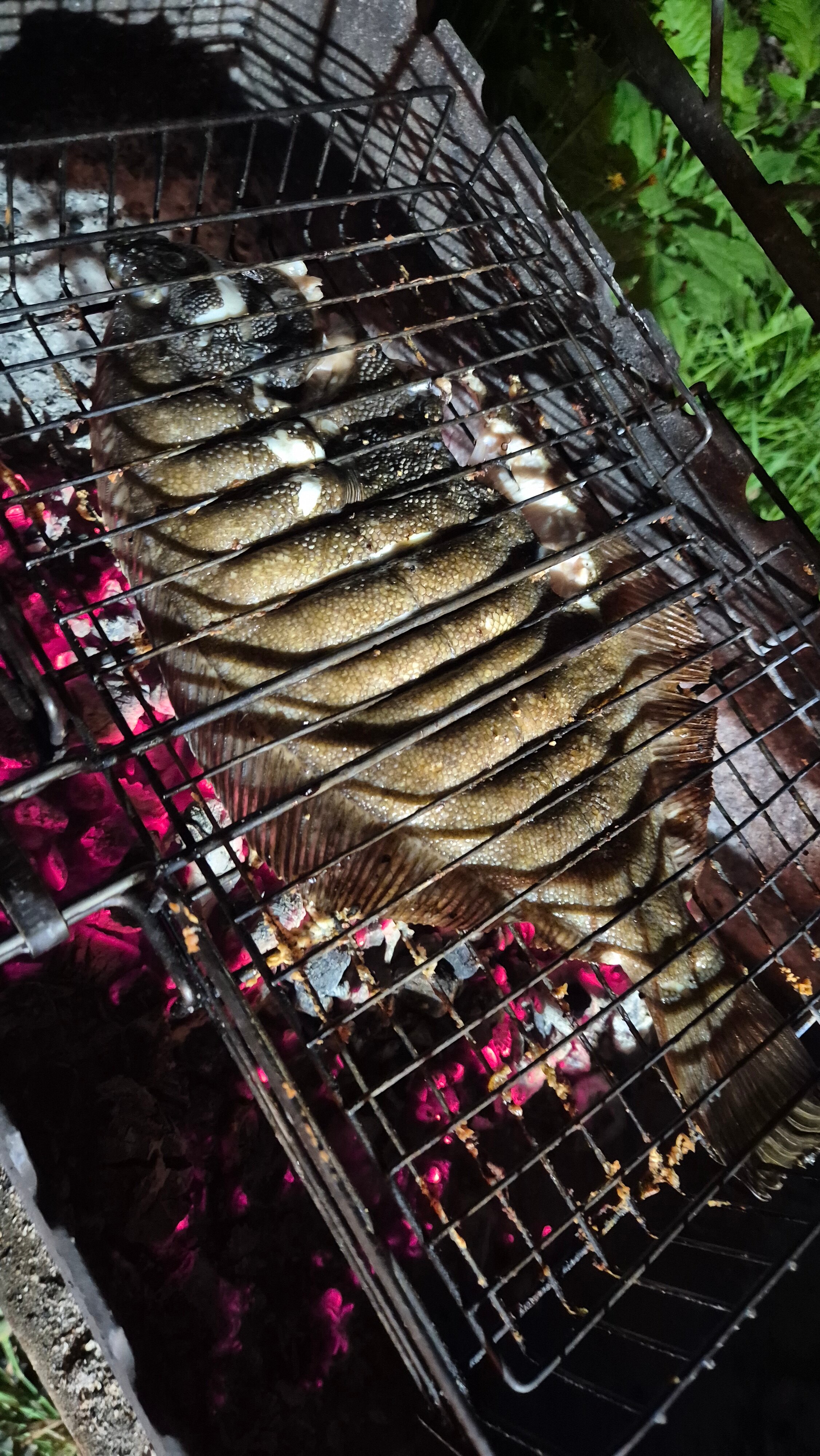 Фото Паратунка