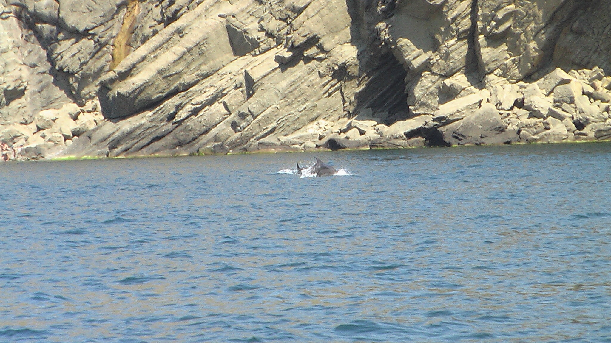 Фото Оазис на Дачном