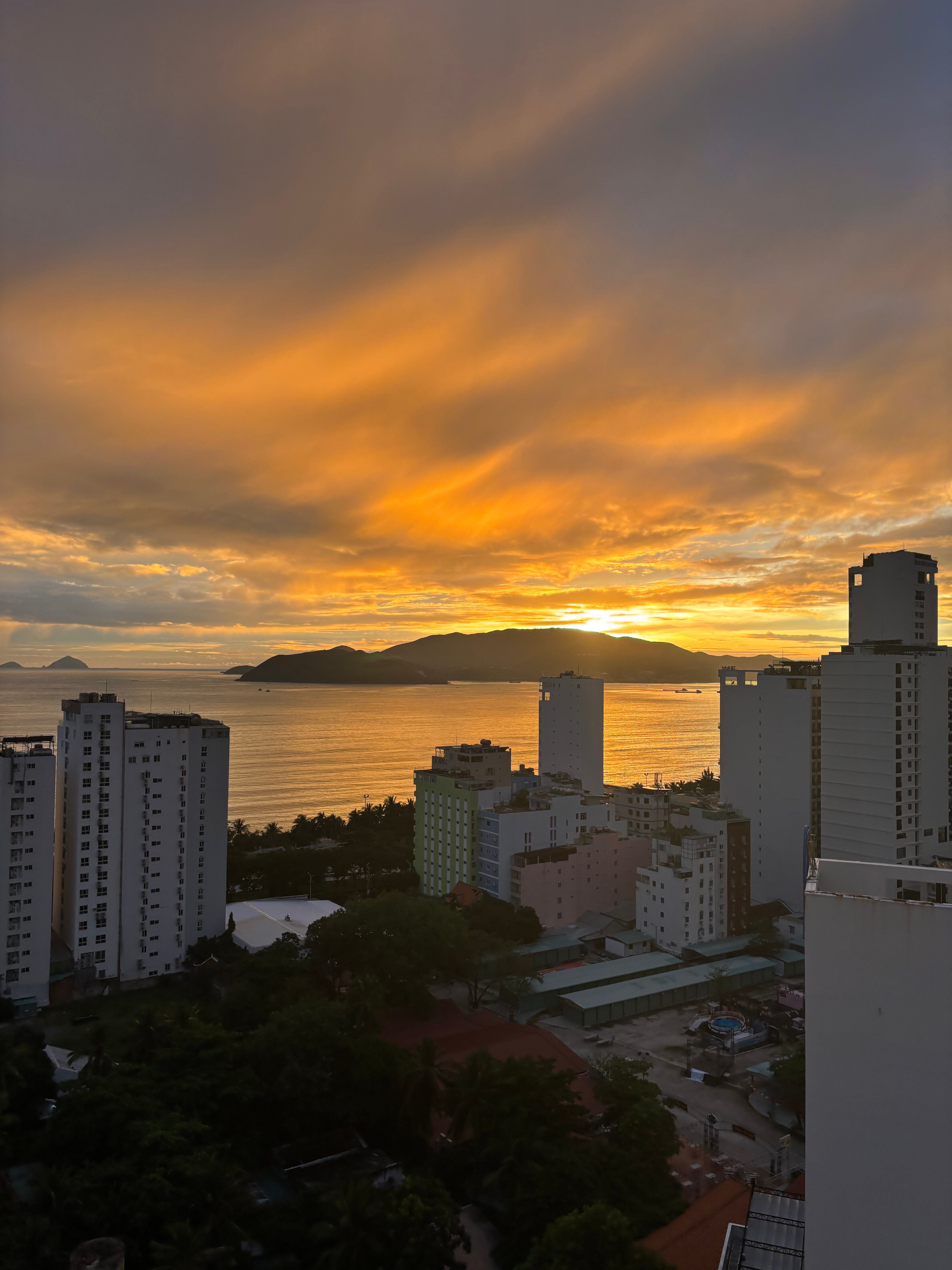 Фото Dendro Gold Hotel