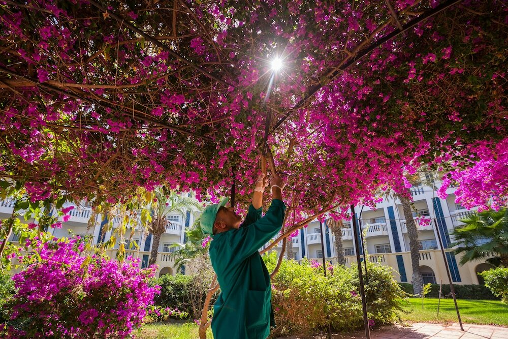 Фото Medina Belisaire & Thalasso Hotel