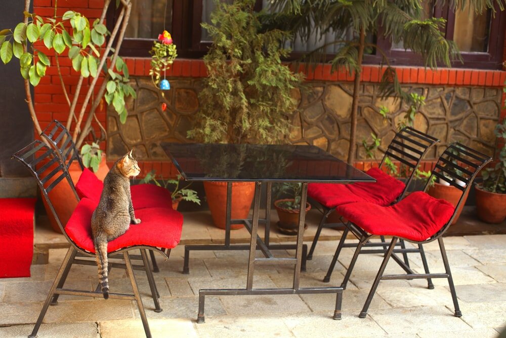 Фото Hotel Atlantic