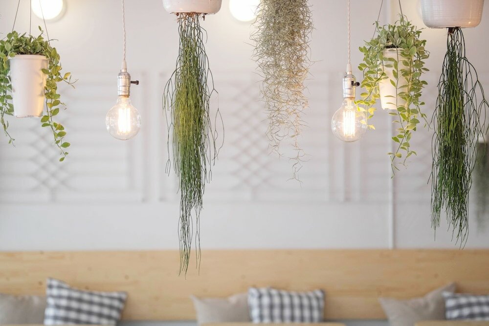 Фото MovyLodge Hostel