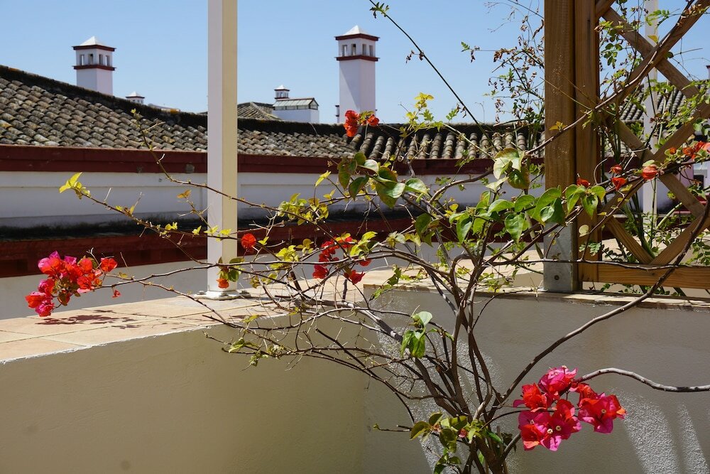 Фото Black Swan Hostel Sevilla