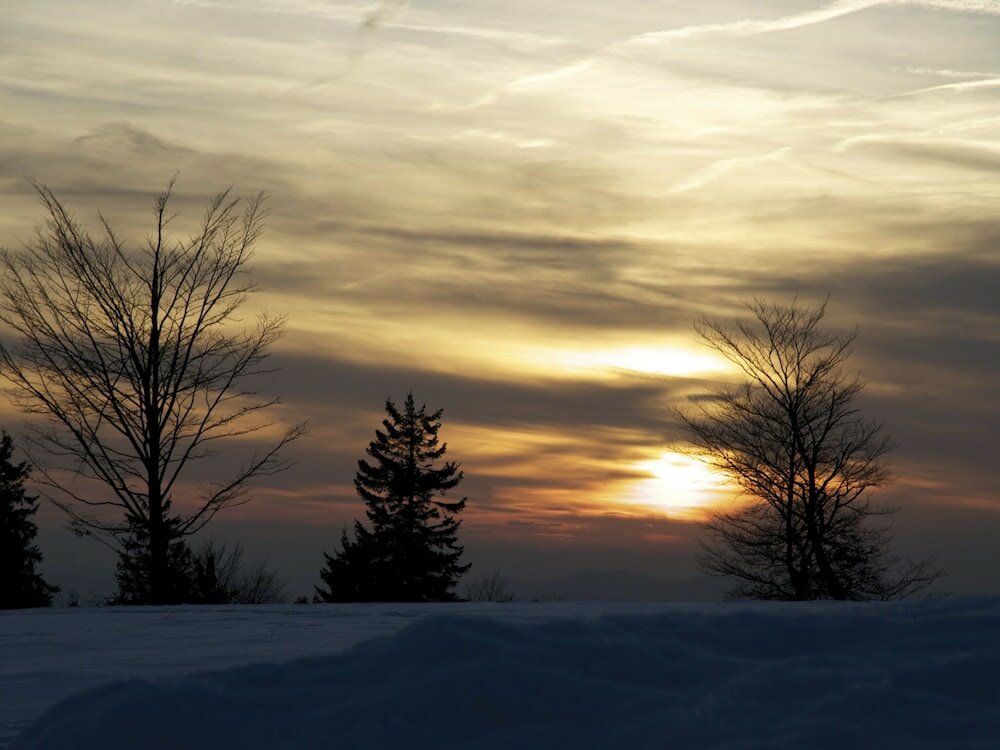 Фото Avital Resort Winterberg