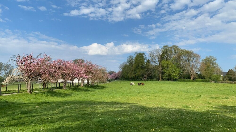 Фото B&b Baron's House Neerijse - Leuven