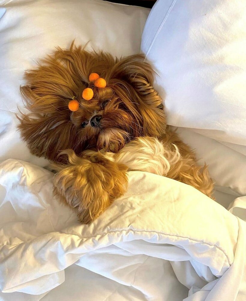 Фото Blue Tree Premium Verbo Divino