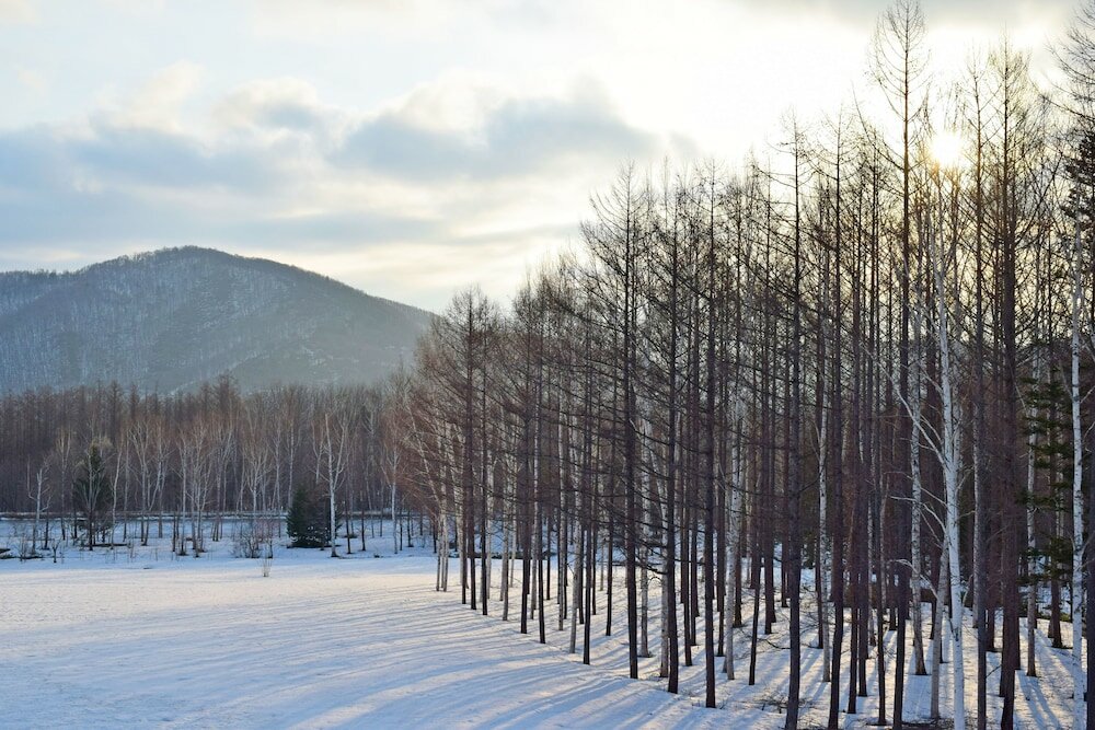 Фото Highland Furano
