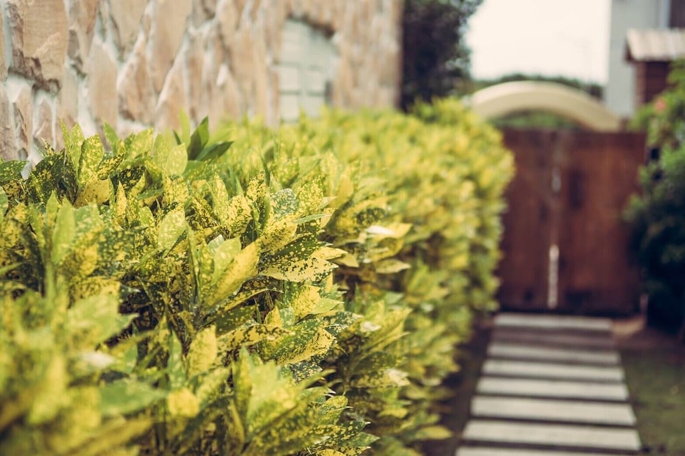 Фото Sasa Nor Lamour B&B