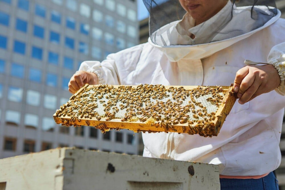 Фото Отель The Brown Palace Hotel and Spa