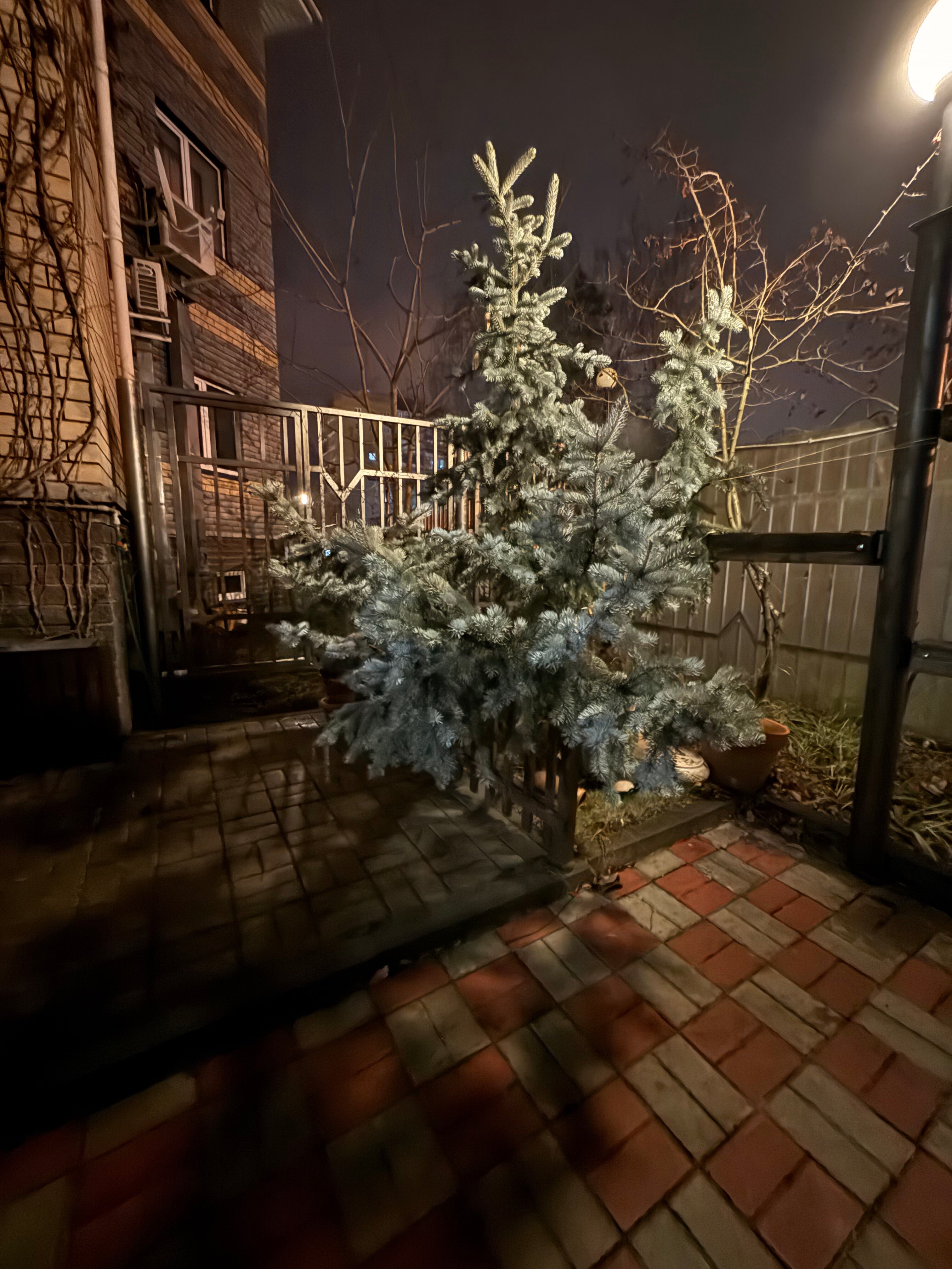 Фото Центр 300