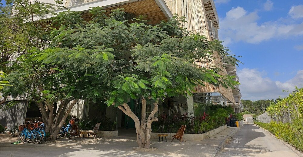 Фото Siente Tulum