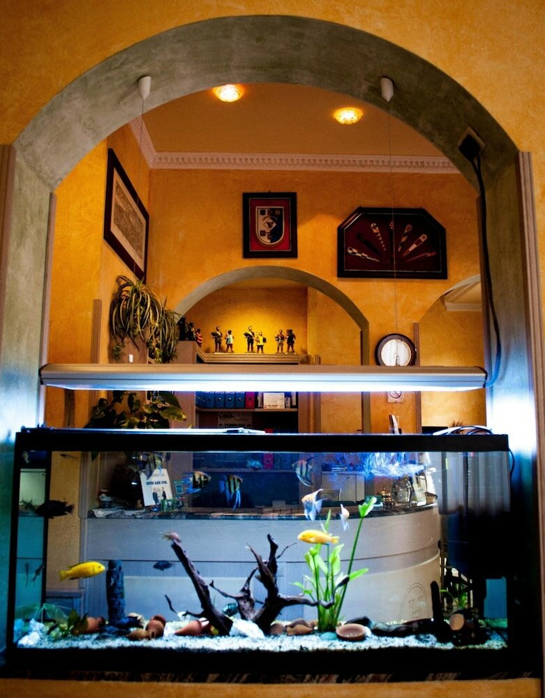 Фото Hotel Villa Primavera