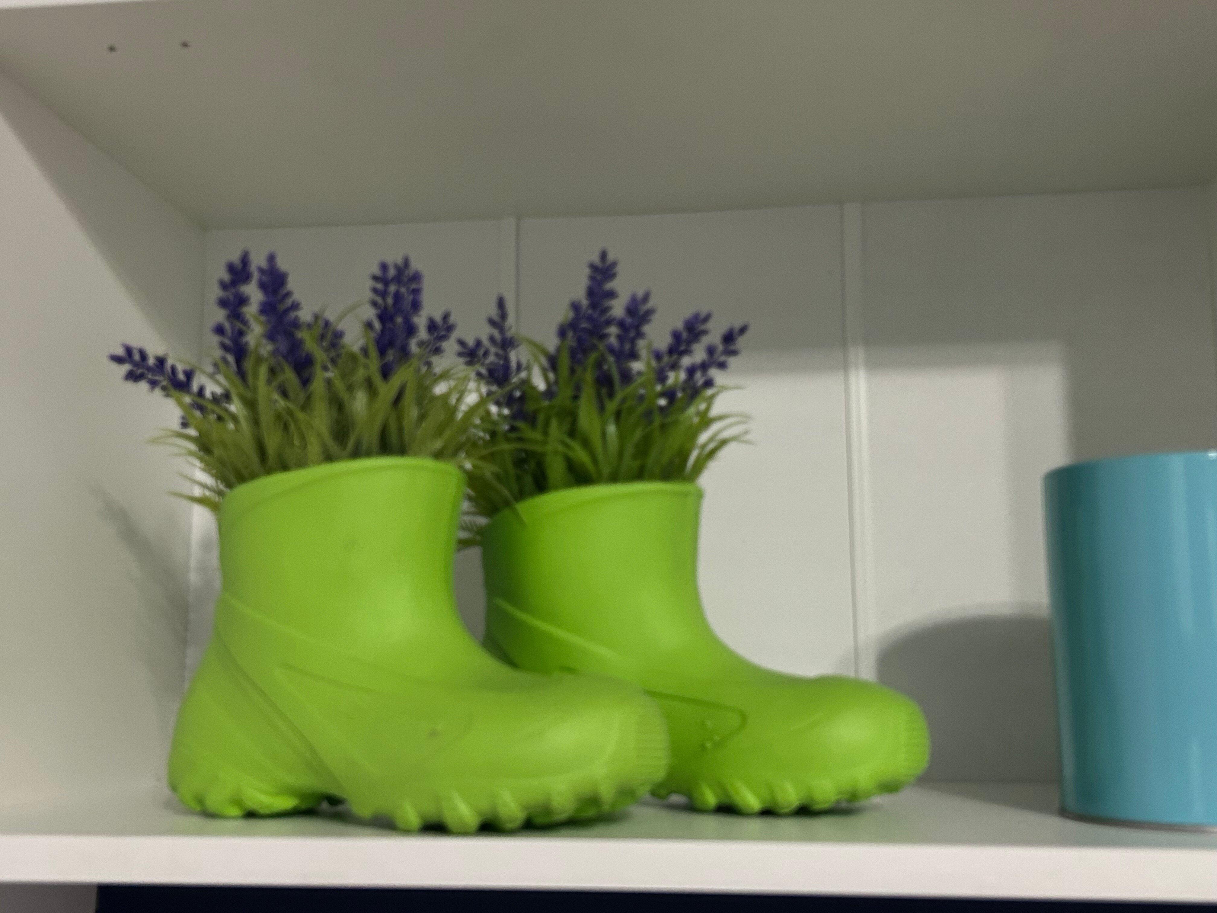 Фото Экоферма Форель