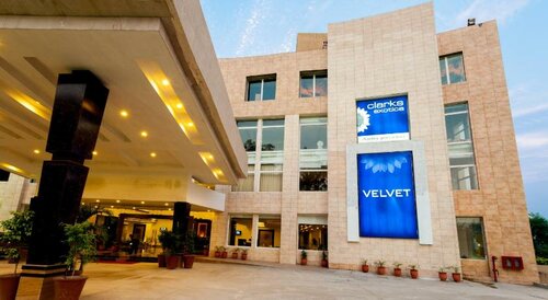 Velvet Clarks Exotica