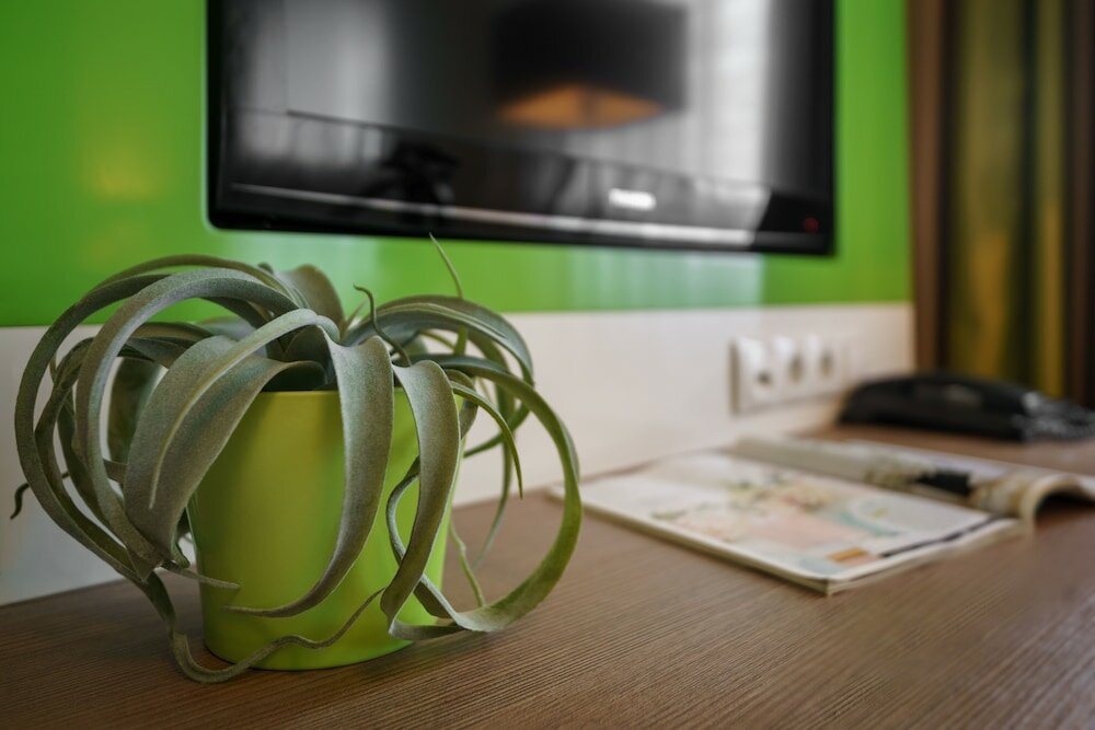 Фото The niu Fusion