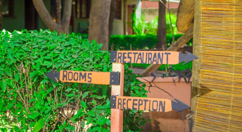 Фото Olga's the Italian Corner