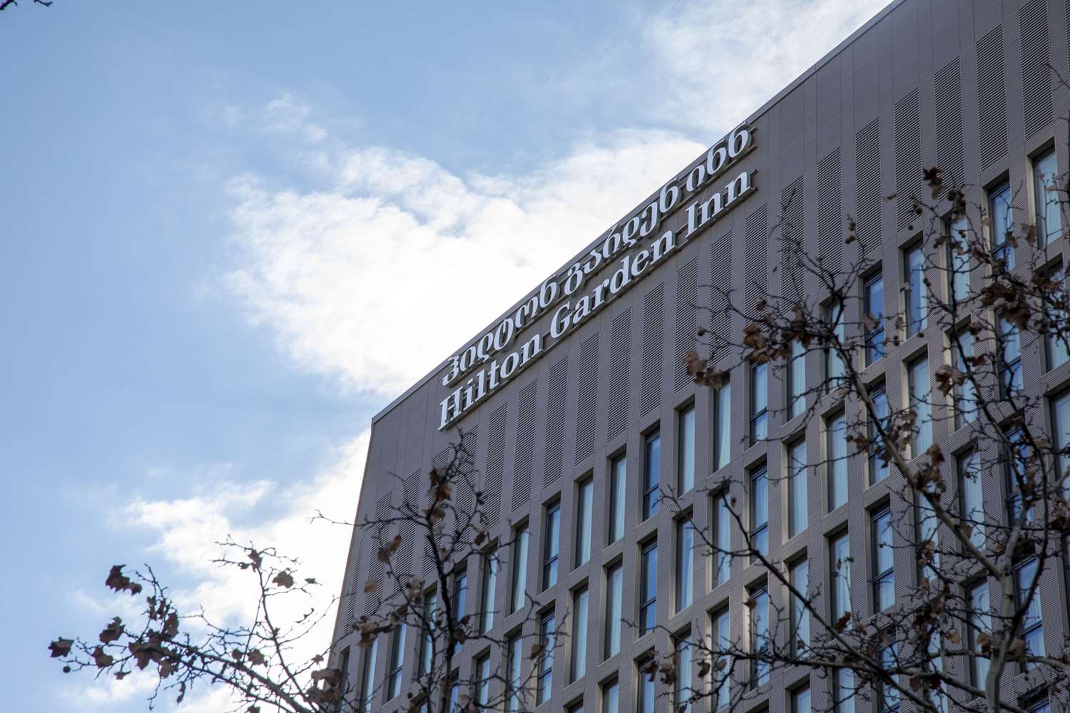 Фото Hilton Garden Inn Tbilisi Chavchavadze