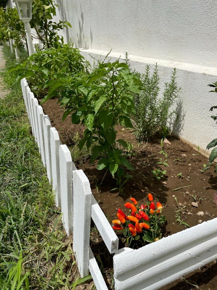 Фото Grand Hotel Royal