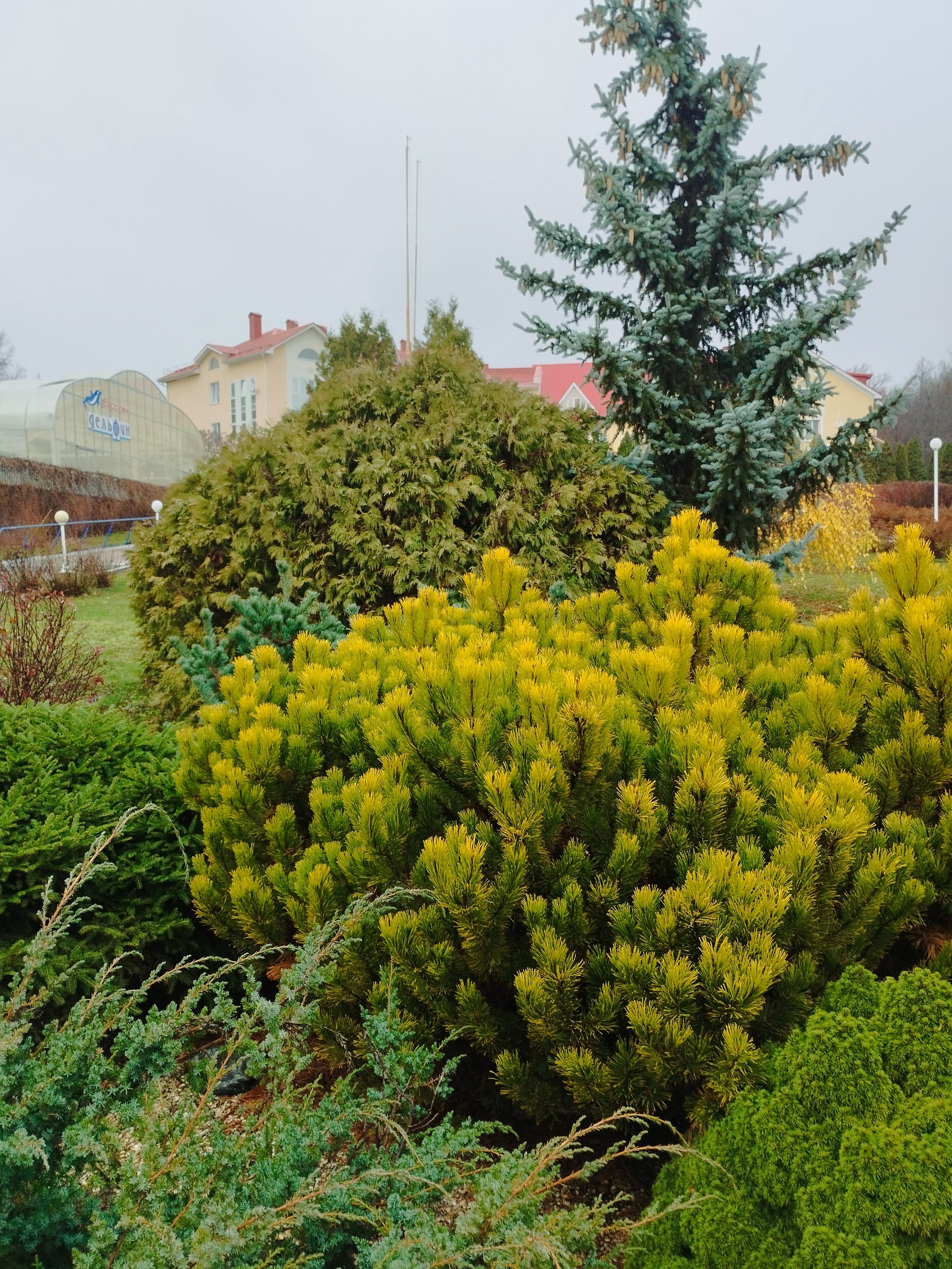 Фото Вишнёвая Поляна