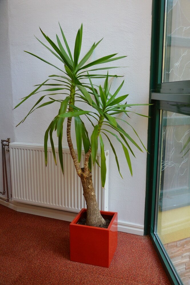 Фото Best Western Hotel Anno 1937