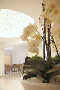 Гостиница Achilleos