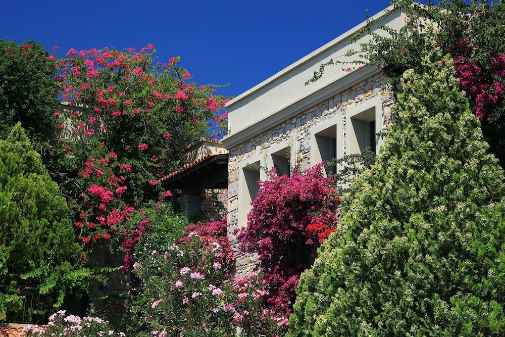 Фото Zeytinada Hotel