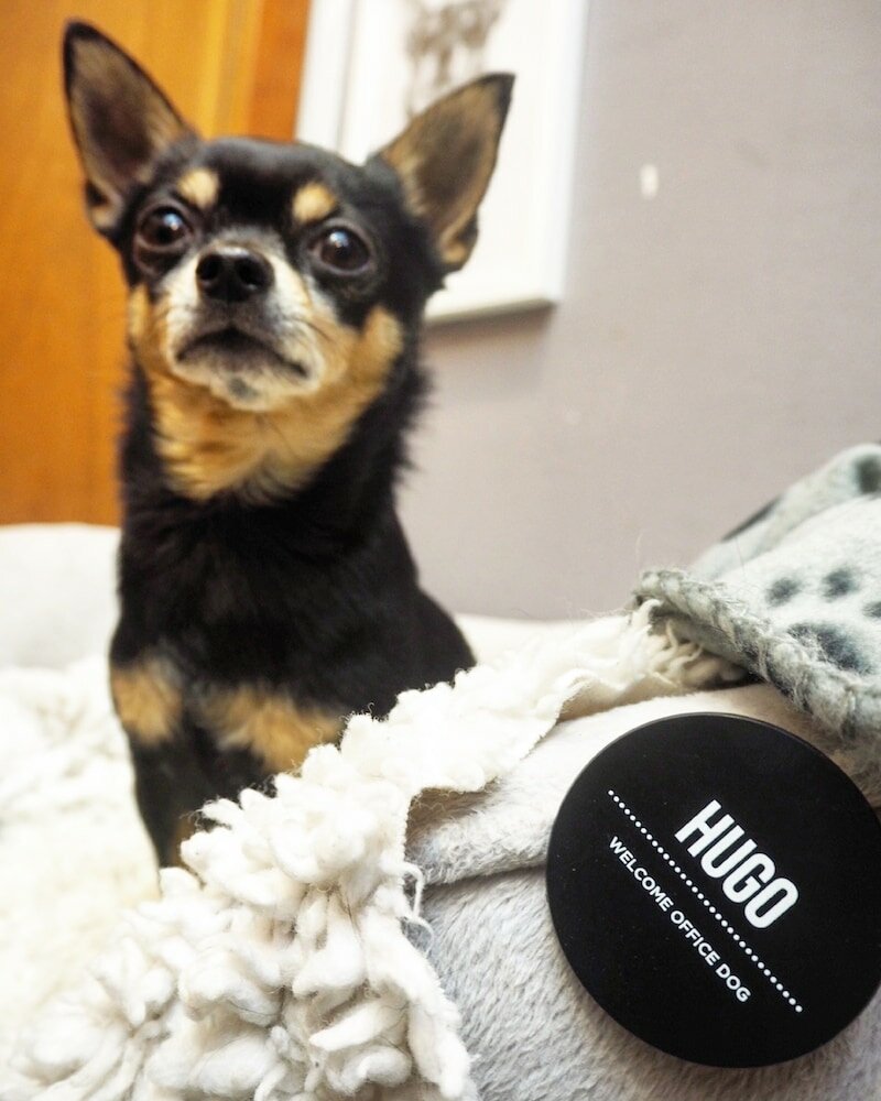 Фото Clarion Hotel Örebro