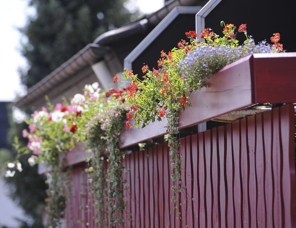 Фото Hotel an der Sonne